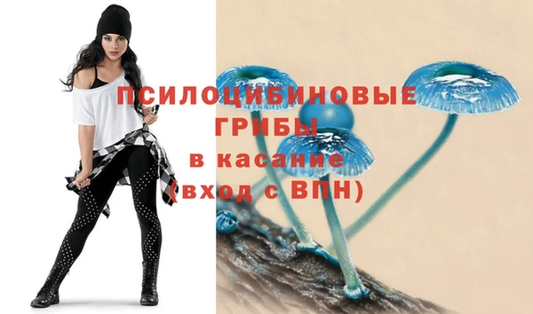 дживик Алексин