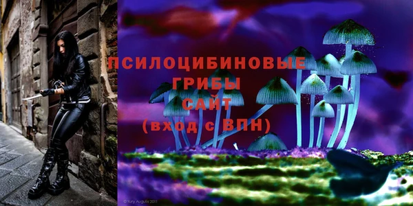 твердый Армянск