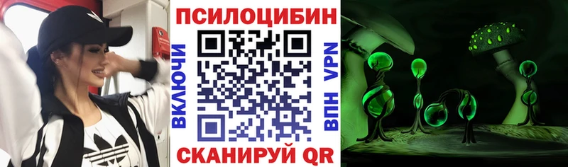 Псилоцибиновые грибы мицелий  Чернушка 