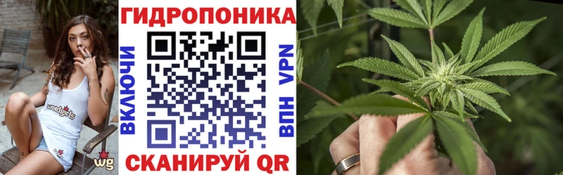 Шишки марихуана OG Kush Чернушка