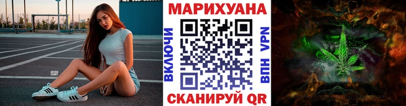 Канабис ГИДРОПОН  Чернушка 